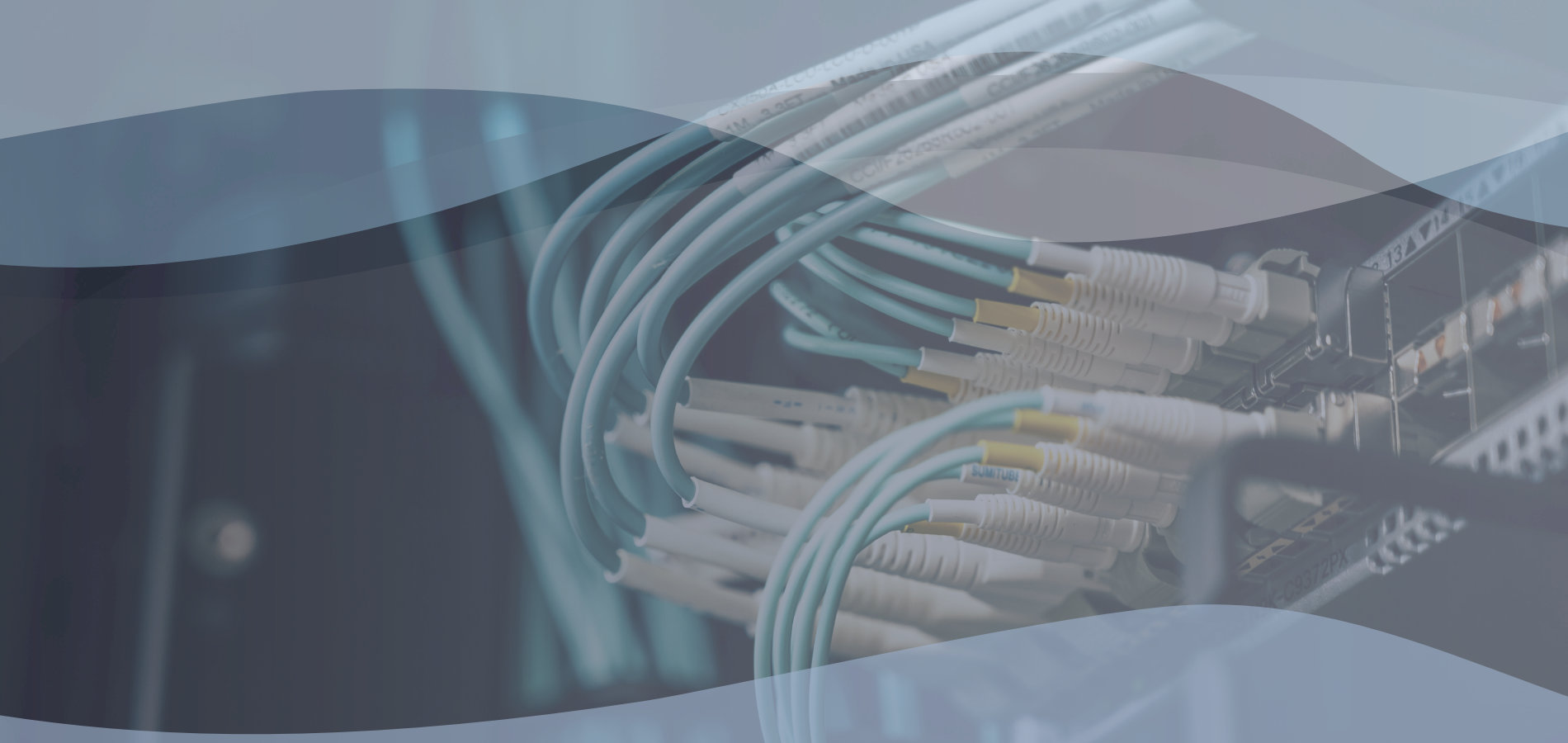 Cableado de servidores, networks
