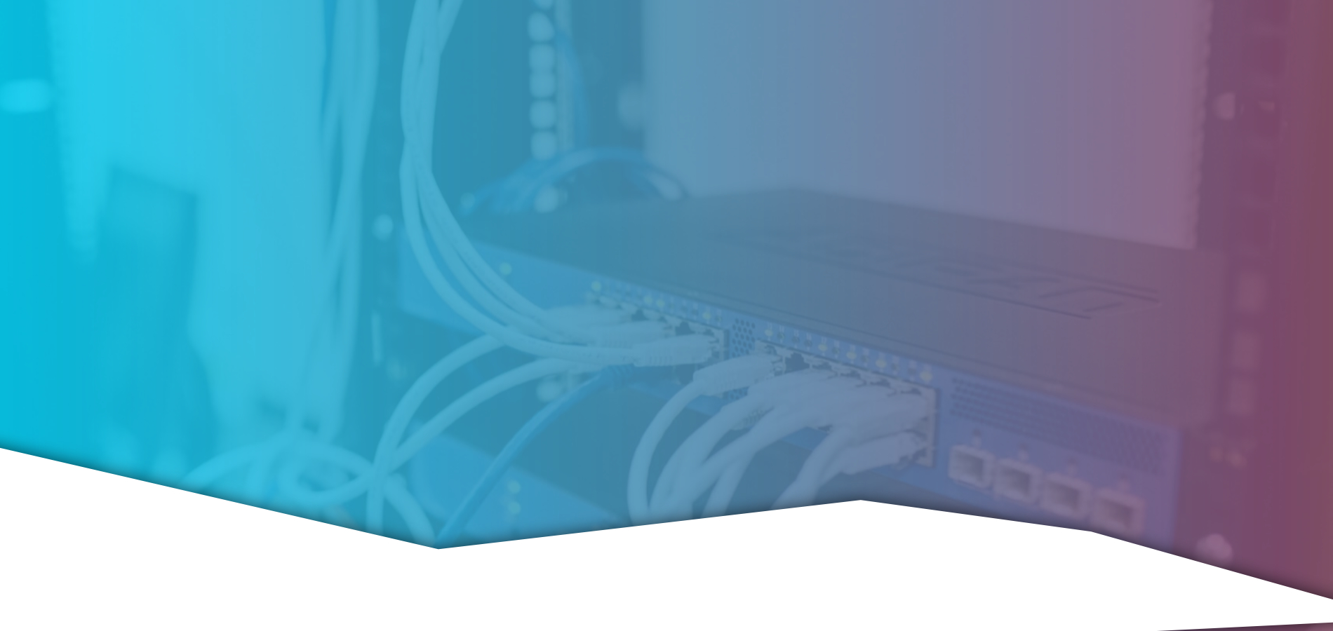 Fondo network con degradado